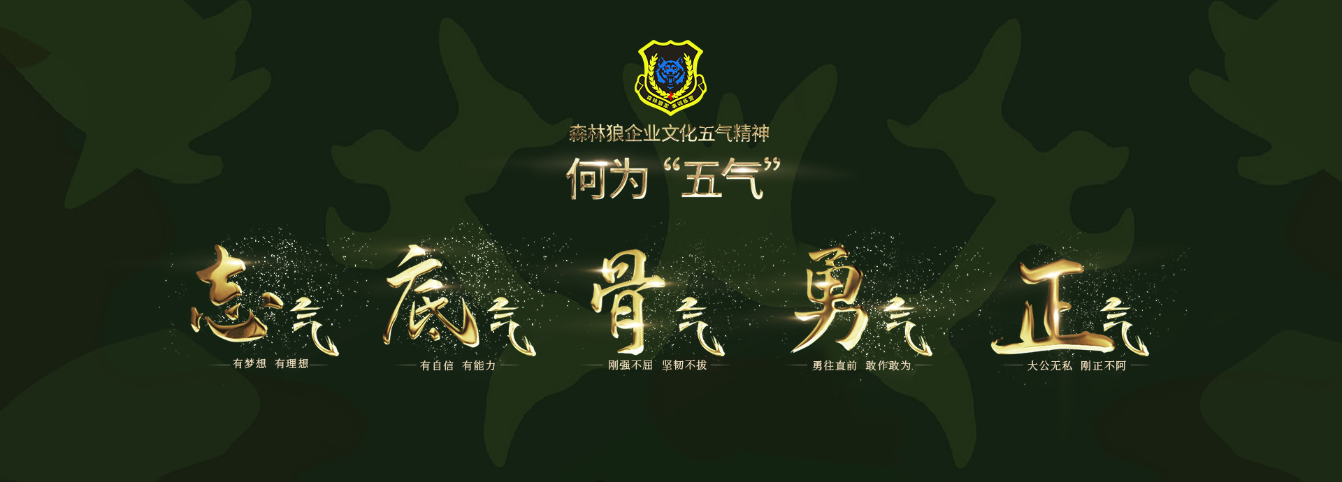 【恭喜】東莞市森林狼拓展有限公司成功開通PC網站！
